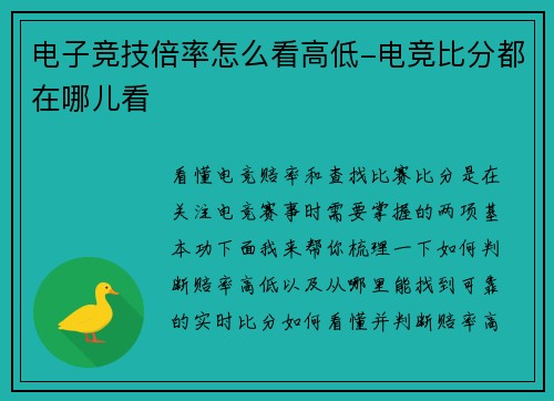 电子竞技倍率怎么看高低-电竞比分都在哪儿看
